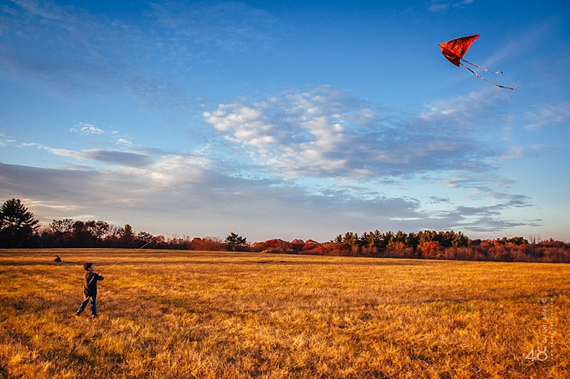 IMG_9769-20131106_web_48photography_by_Udi_Edni_web.jpg IMG_9769-20131106_web_48photography_by_Udi_Edni_web.jpg